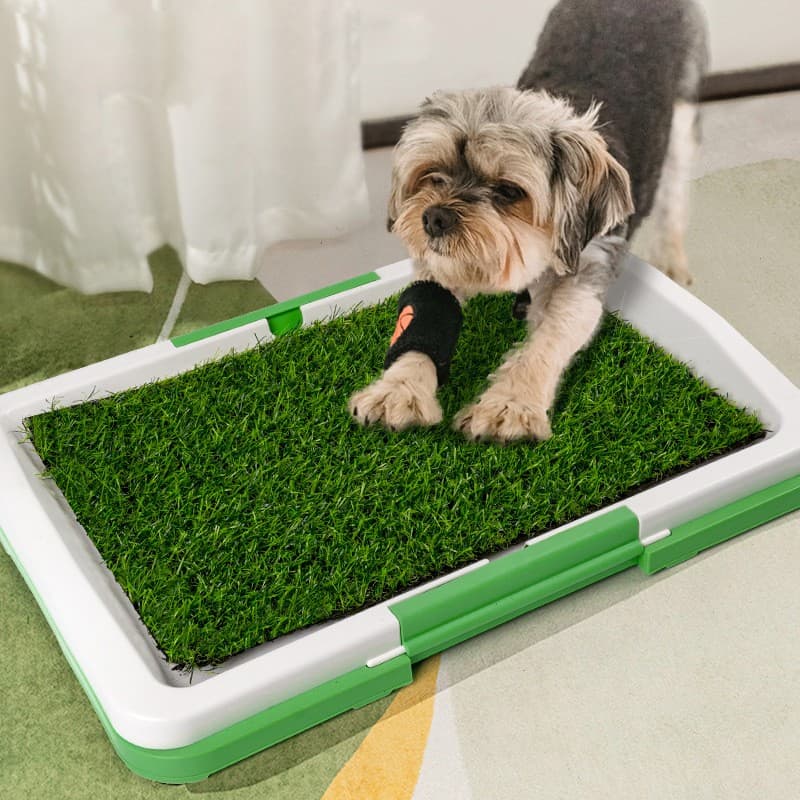 Hunde Training Toilet Welpen Pee Potty Pad Splash Proof Artificial Gra