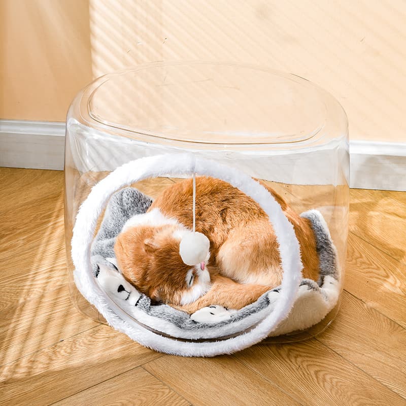 Katzenbett Tier Transparent Gehege Matte Enclosure Teaser Ball eckig H