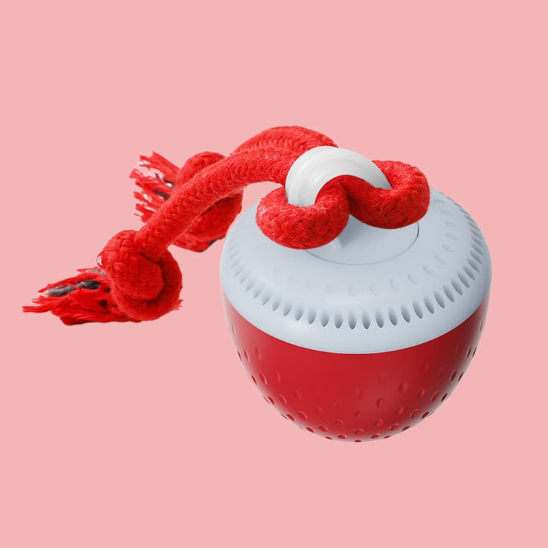 Nip-resistent Hunde Ball Teething Sound-making Spielzeug 2