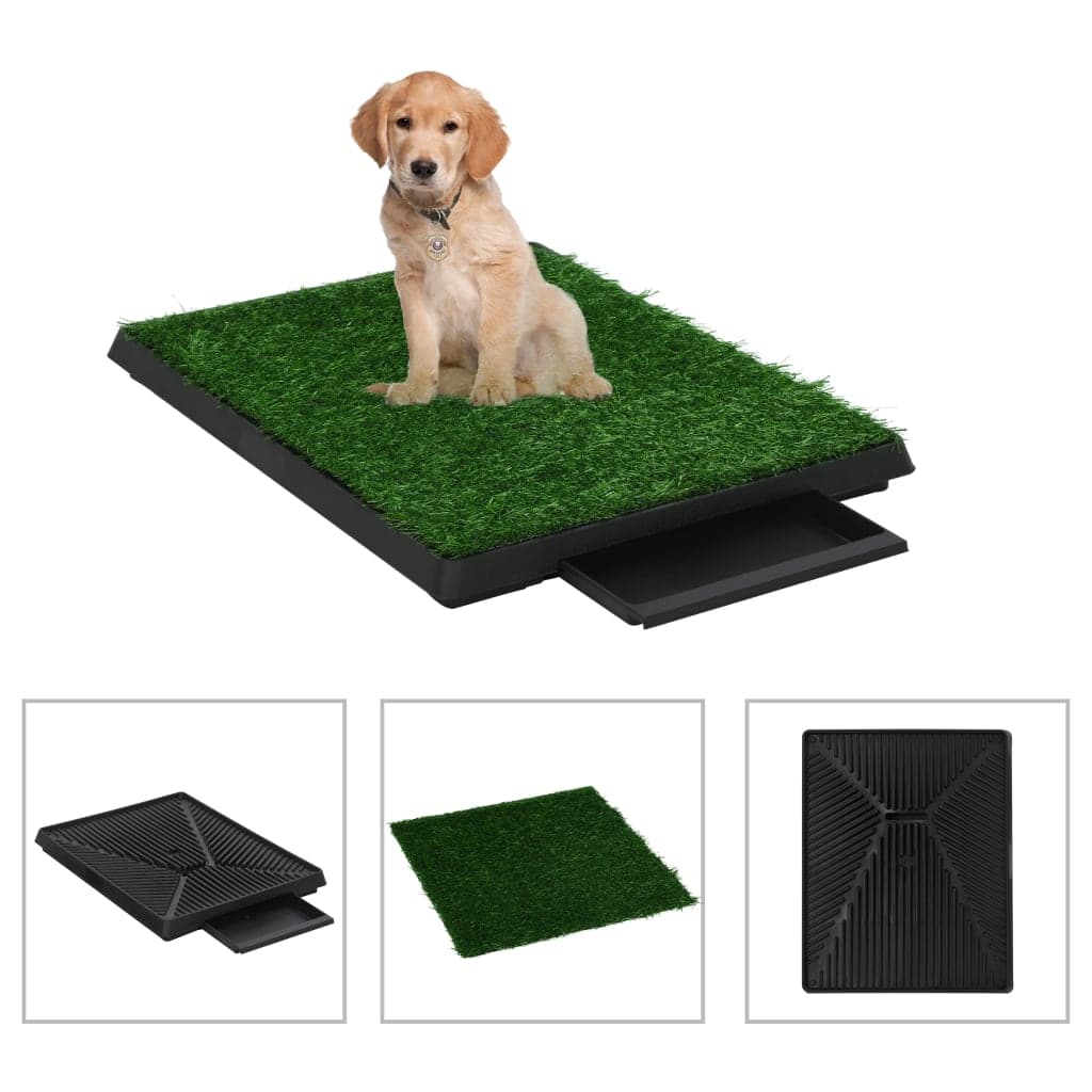 Hundetoilette mit Schachtel und künstlichem Rasen 63x Toilettenschachtel
