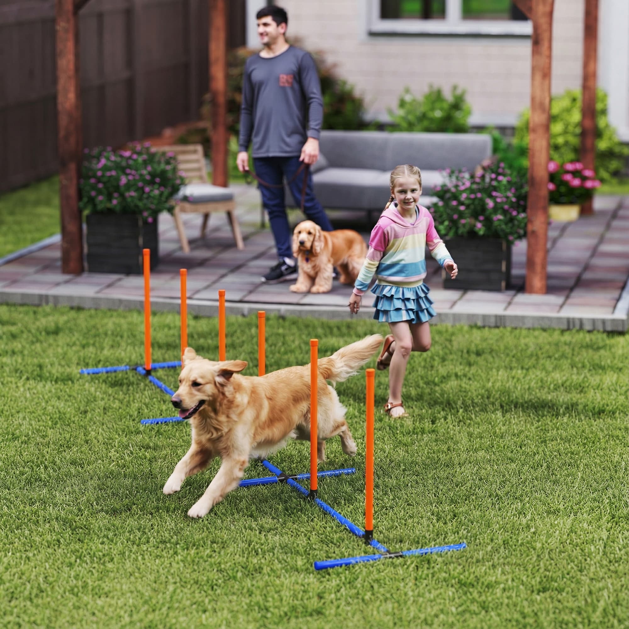 Hund Agility Training Zubehör Verstellbar Poles für Hund Agility Cou