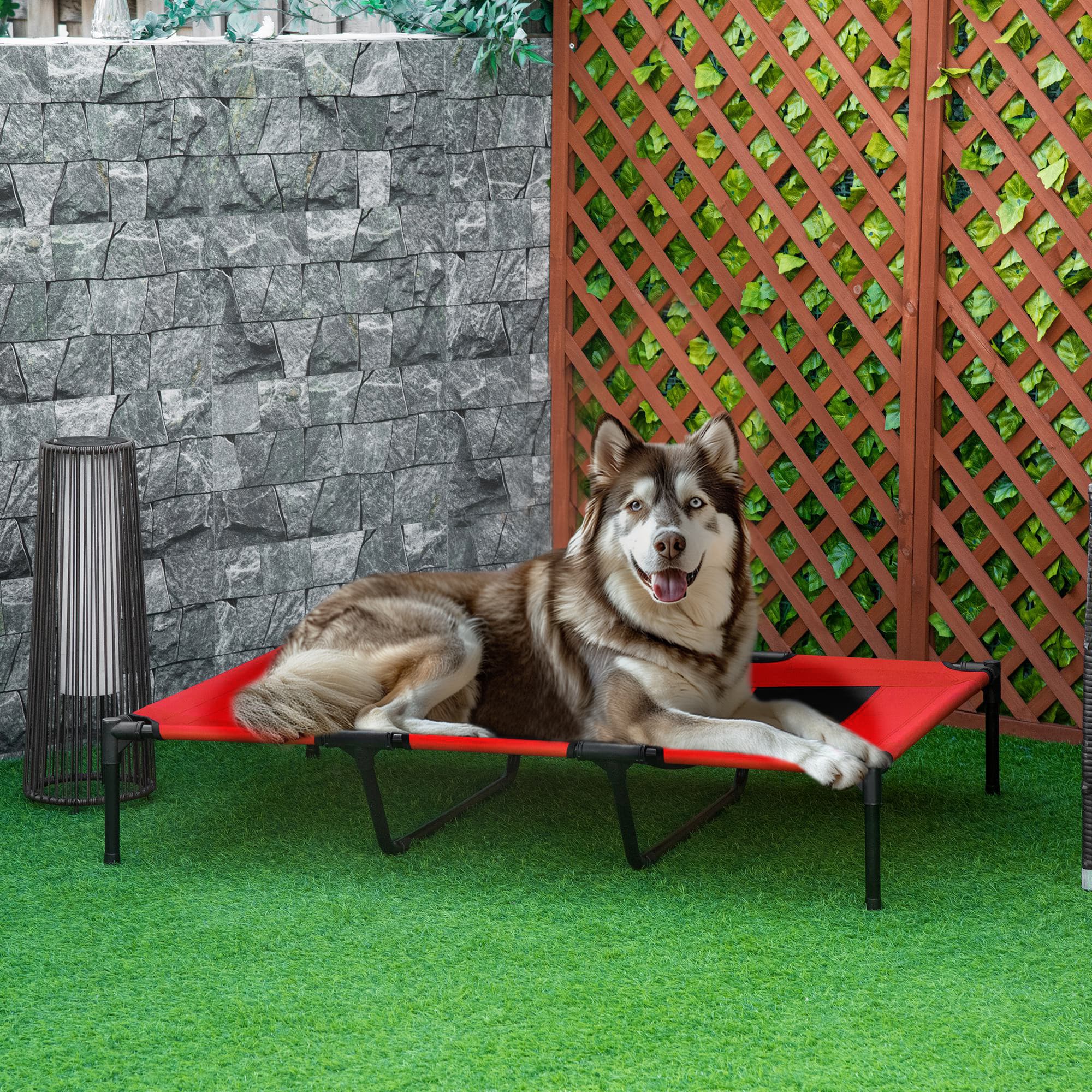 Xl Erhöht Hund Bett, Outdoor erhöhte Hund Bett, tragbar Tier Cot W/Car