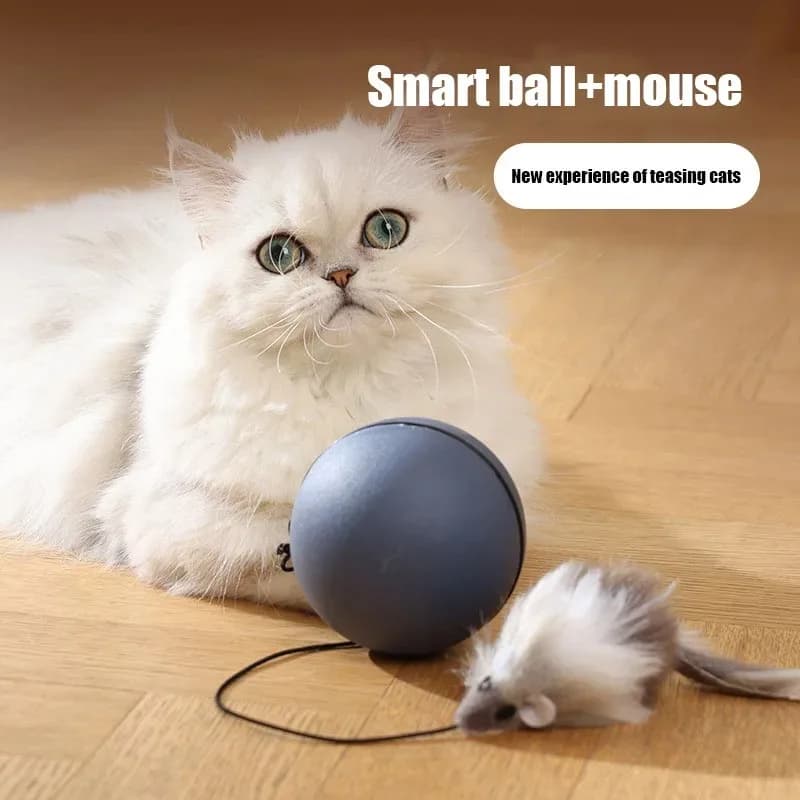 Katze Toys Mouse Teaser Ball Funny Moving Spielzeug für Tiere Katze Hu