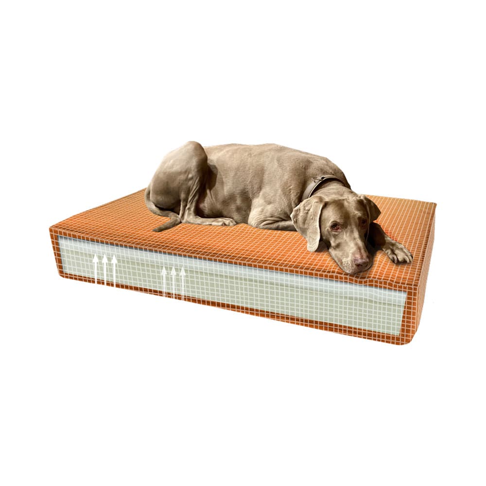 Madison Orthopädisches Kissen Velvet Orange S: Produktbild
