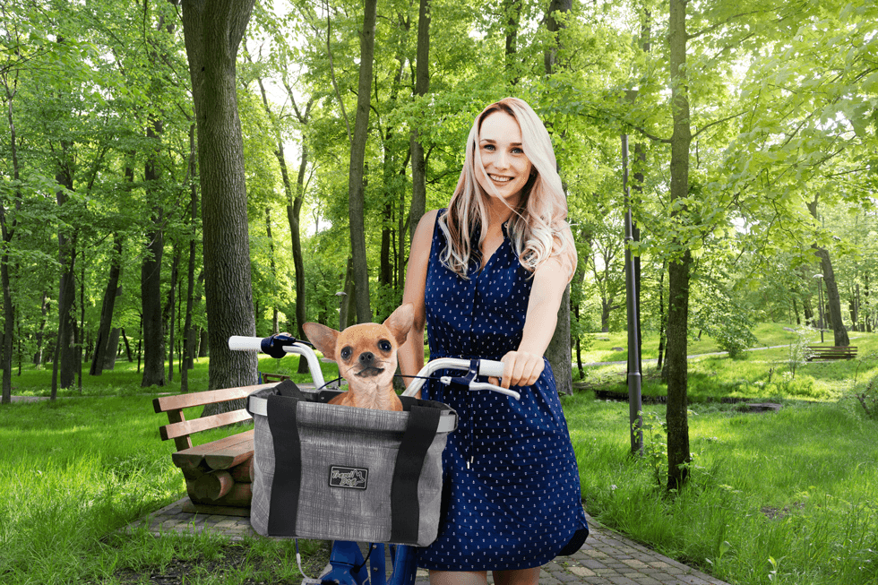 AFP Travel Dog – Easy-Go Fahrradkorb 4