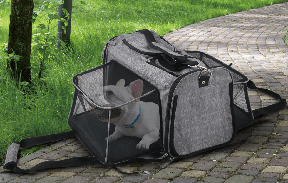 AFP Travel Dog – Rollende Transporttasche für Hunde 6