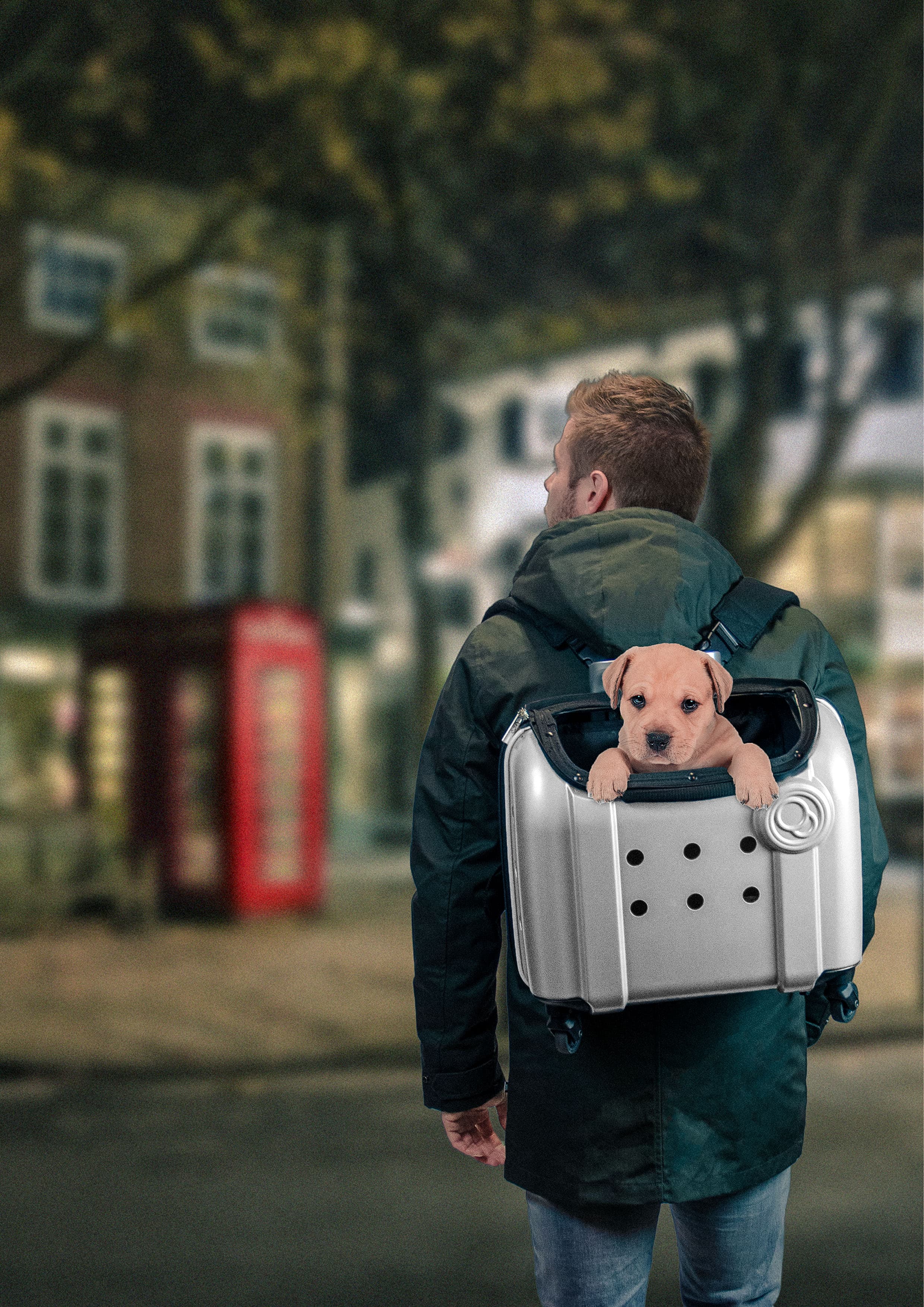 Compaws Trolley London 40 cm Grau 2