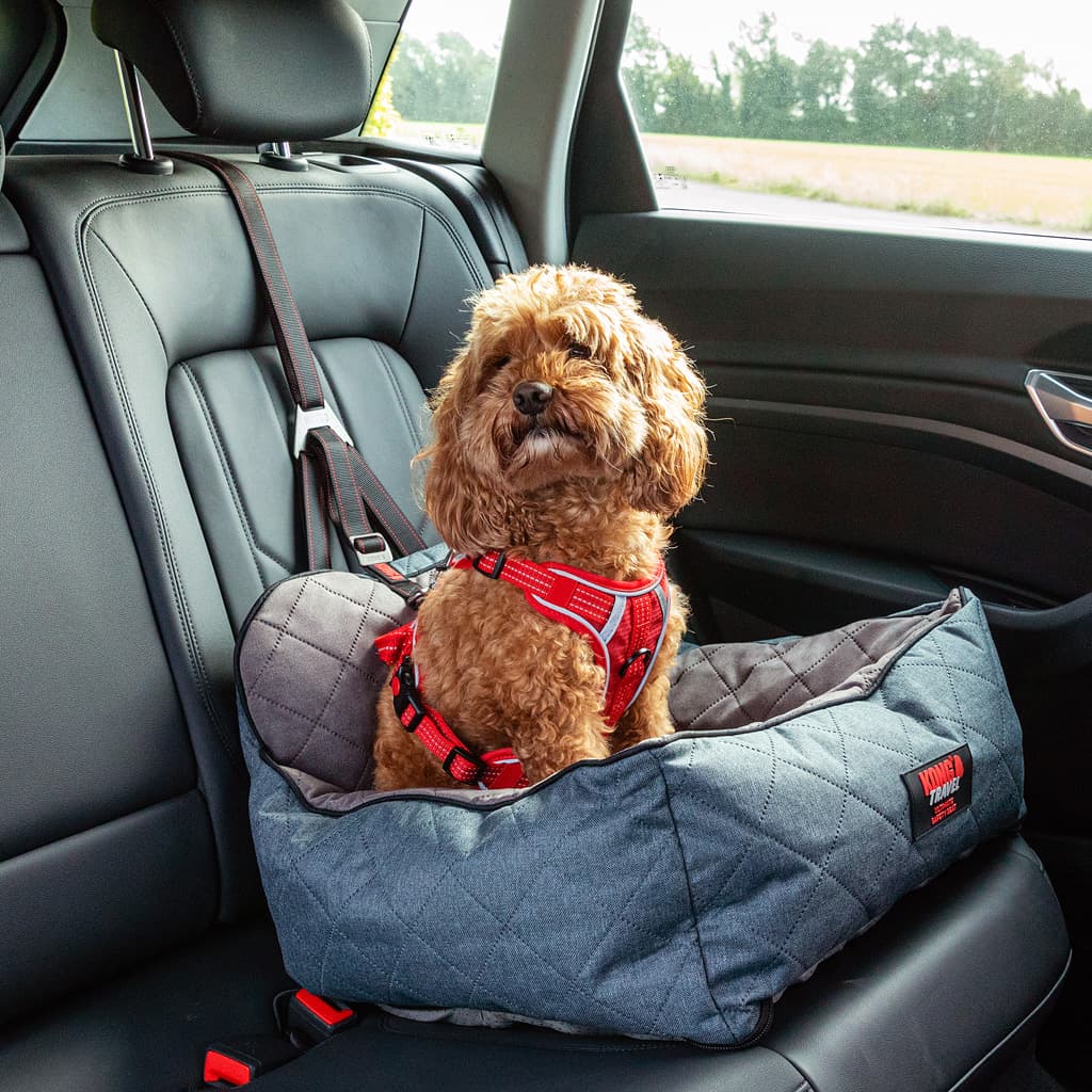 KONG Travel – Sicherheits-Autositz für Hunde 2