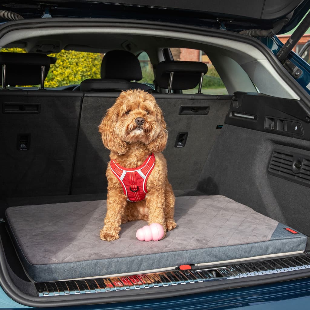 KONG Travel – Faltbare Reisematte für Hunde 2