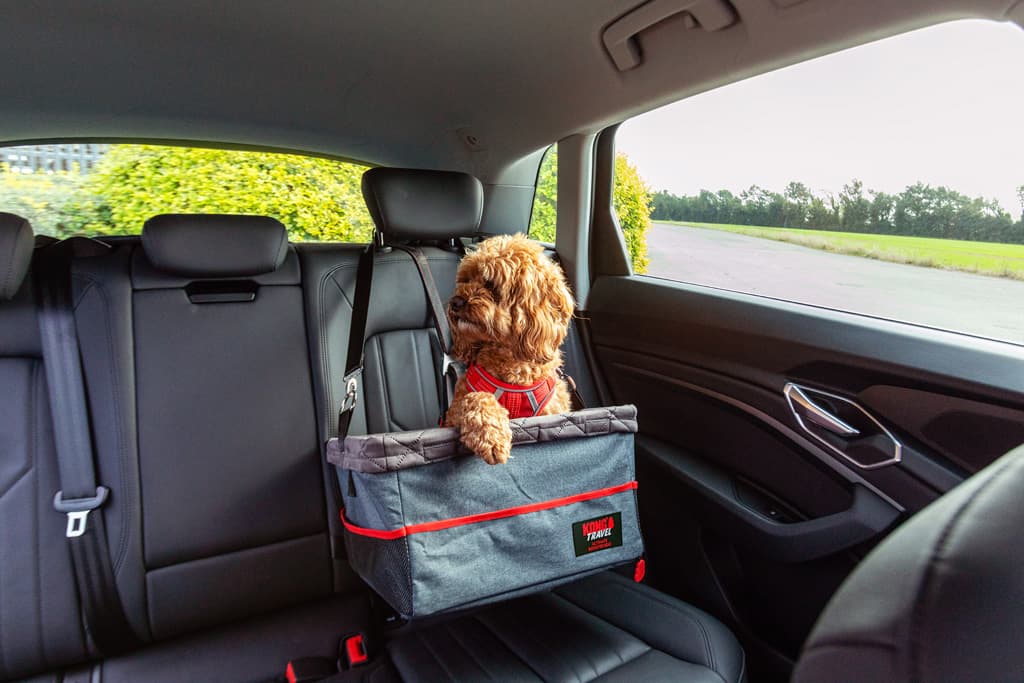 KONG Travel – Booster Autositz mit Sicherheitsleine 2
