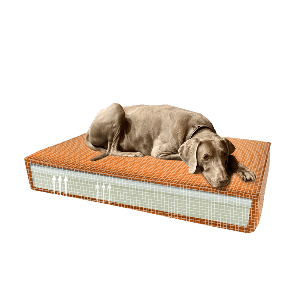 Madison Orthopädisches Kissen Velvet Orange S