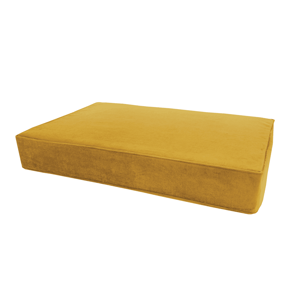 Madison Orthopädisches Kissen Velvet Gelb S 2