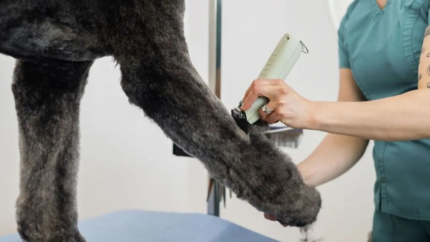Wahl KMC+ Kabel-/Kabelloser Trimmer  4