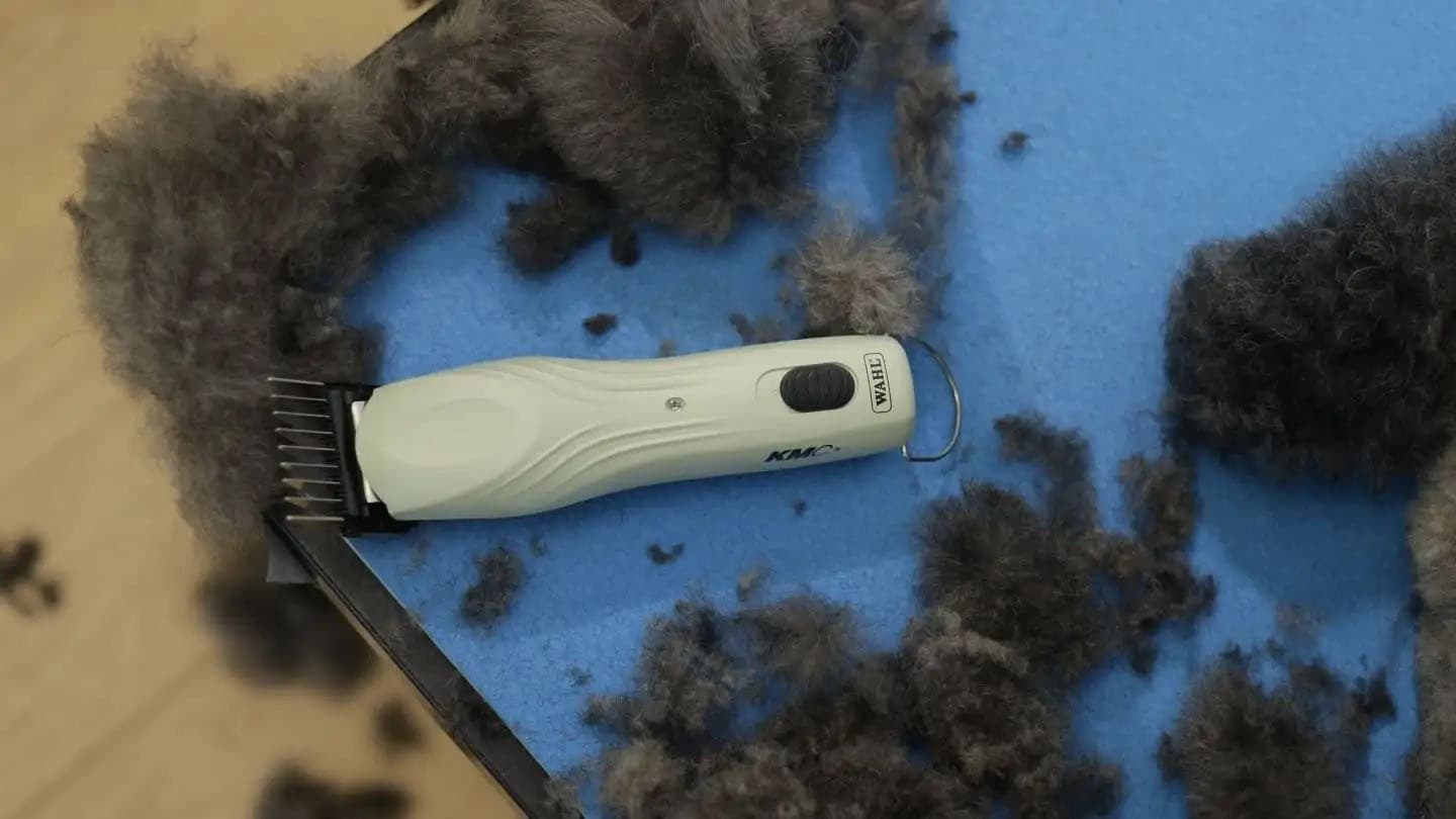 Wahl KMC+ Kabel-/Kabelloser Trimmer  5