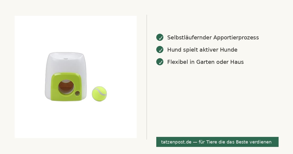 Automatischer Ball-Werfer für Hunde – interaktives Apportierspielzeug 6