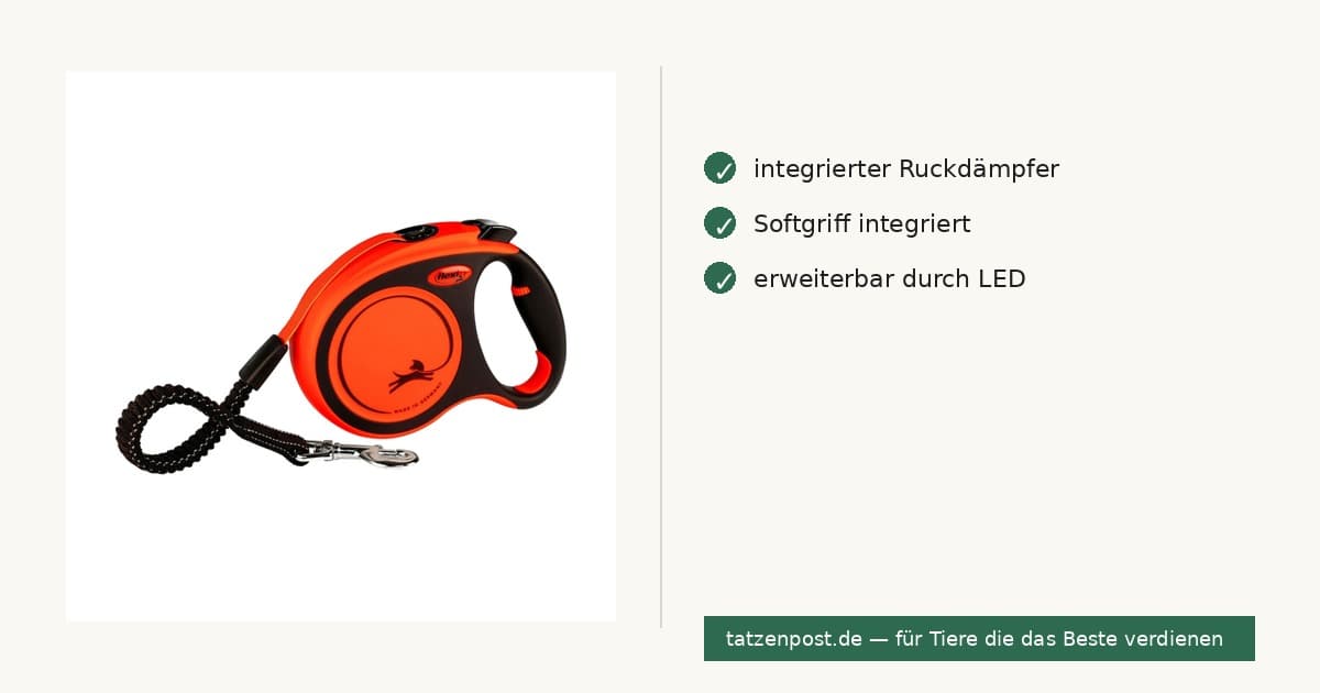 Flexi Rollleine XTREME Gurt - 5m / bis 65 kg 4