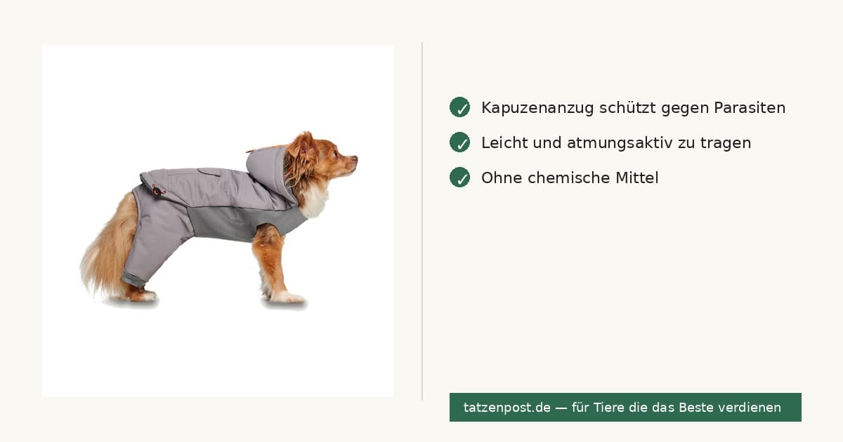 Goo-eez Kapuzen-Ganzkörperanzug XXL Grau 2