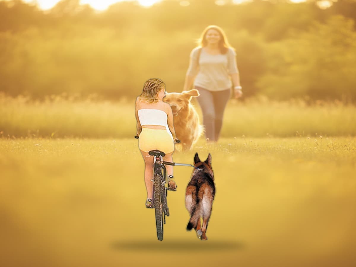 Karlie Flamingo Fahrrad Freilaufleine Walky Dog – Produktbild