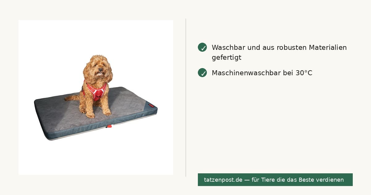 KONG Travel – Faltbare Reisematte für Hunde 2