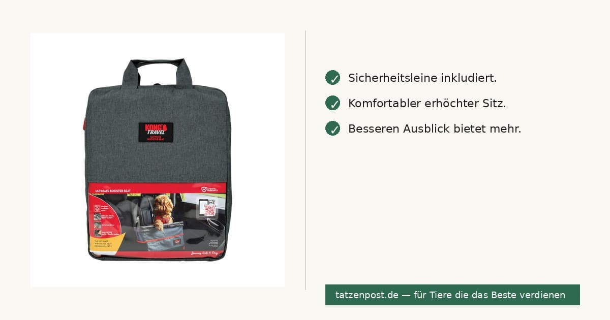 KONG Travel – Booster Autositz mit Sicherheitsleine 2