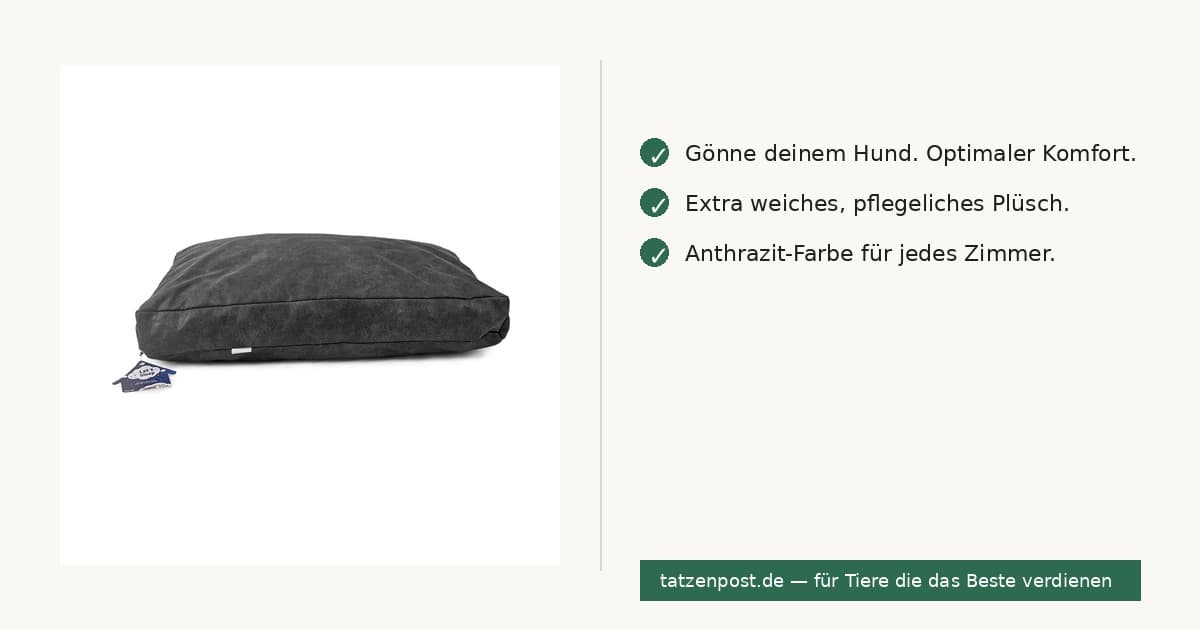 Let's Sleep Hundebett XL Plüschkissen – Anthrazit 2