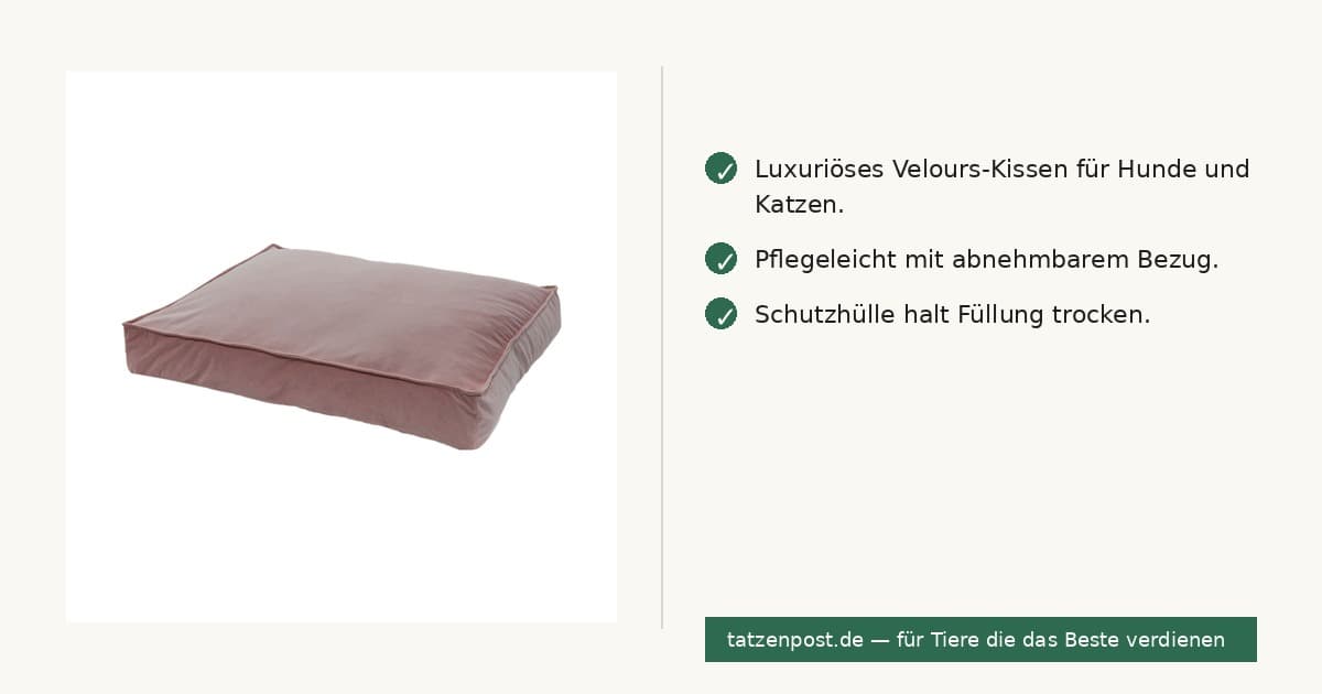 Madison Velours Lounge-Kissen Rosa M 2