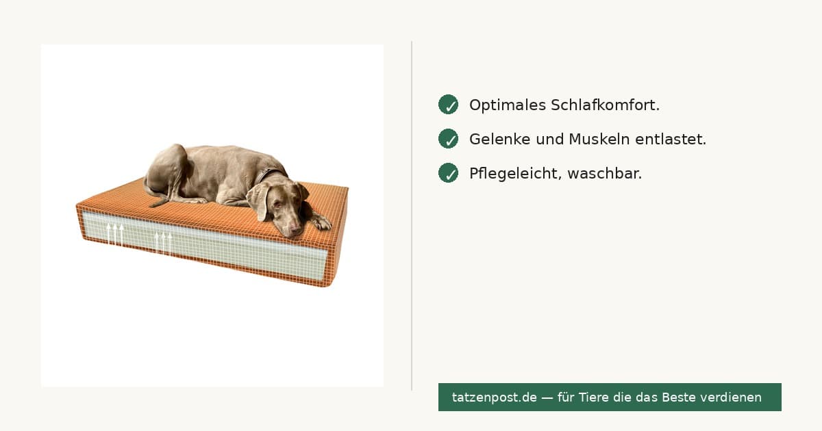 Madison Orthopädisches Kissen Velvet Orange S 2