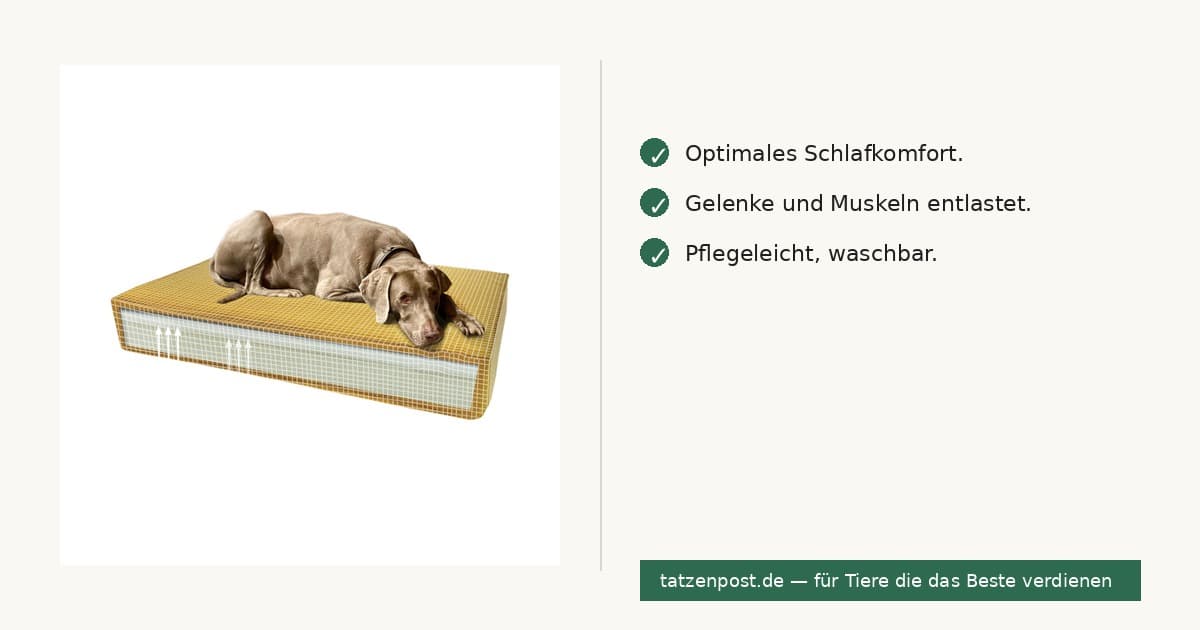 Madison Orthopädisches Kissen Velvet Gelb S 2