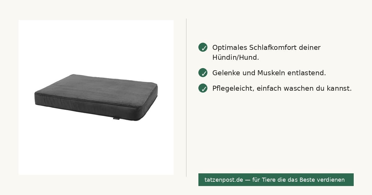 Madison Orthopädisches Kissen Grau S 2