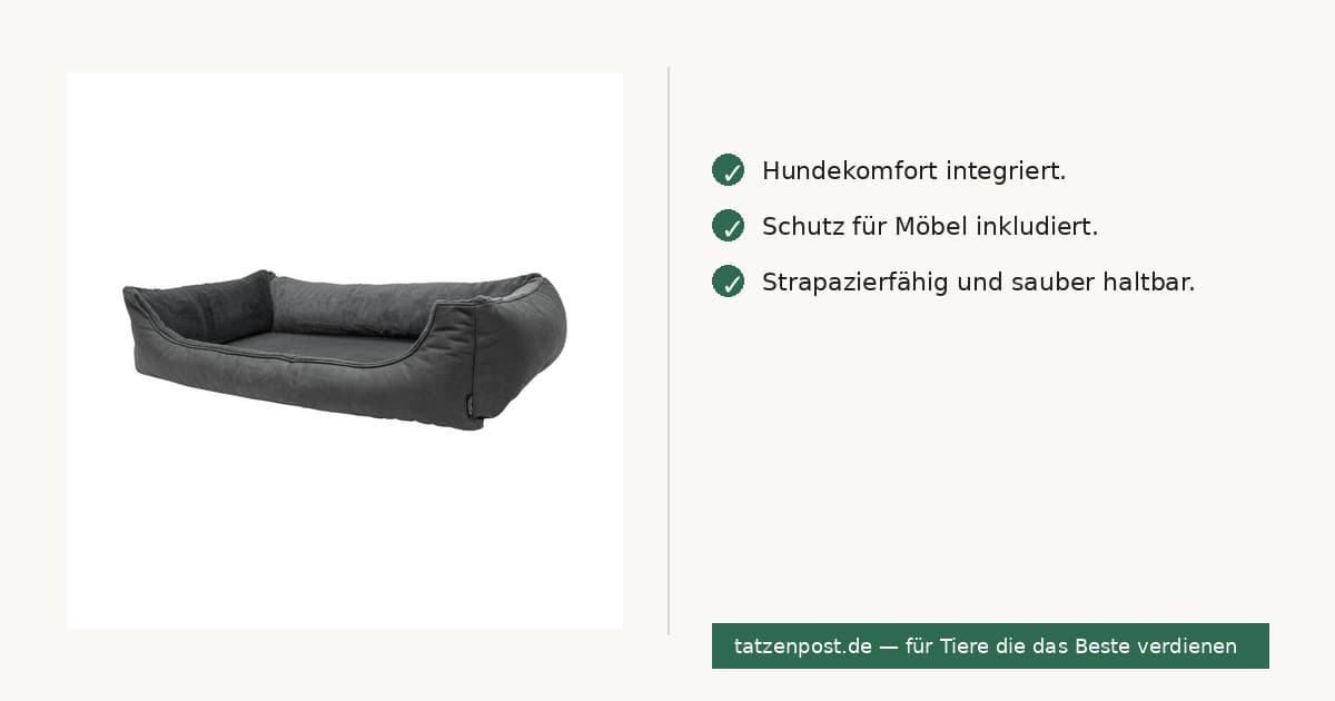 Madison Sofa Orthopädisch Grau S 2