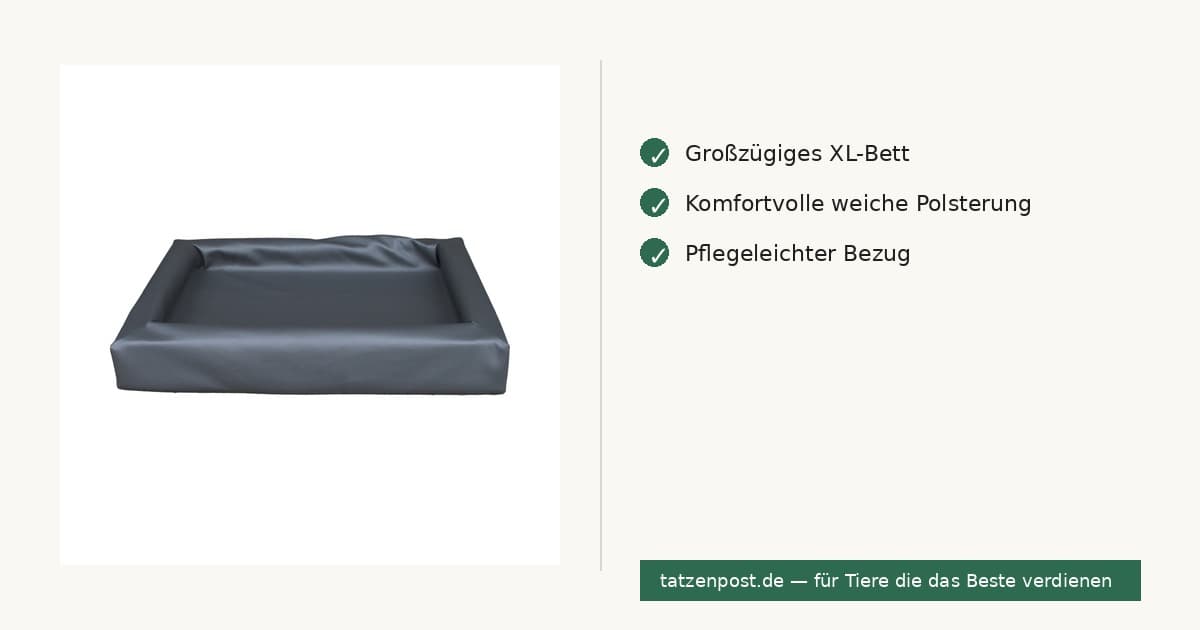 Lounge Hundebett XL - 100 x 120 cm 2