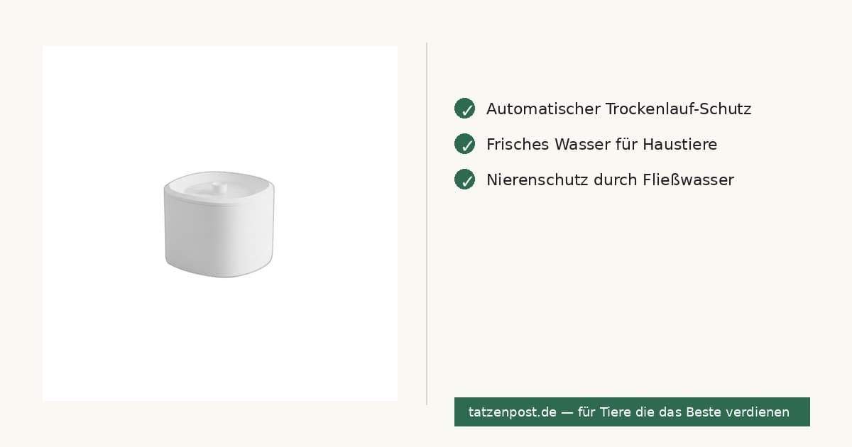 Trinkbrunnen für Haustiere – 3L leise, kein Trockenlauf 6