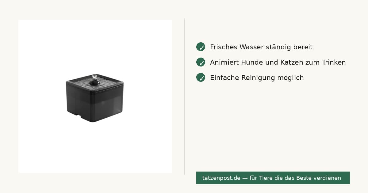 Trinkbrunnen für Haustiere – 3,8L leise Umwälzpumpe 6
