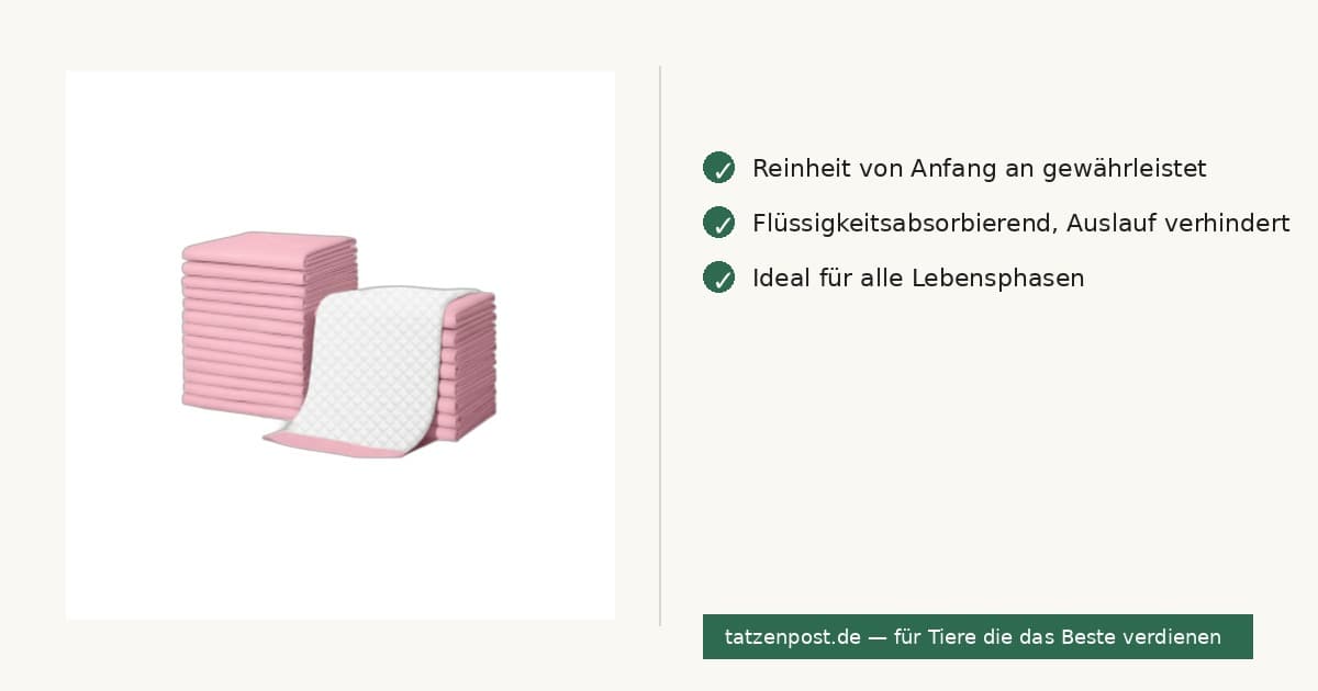 Welpen-Trainingsunterlage – saugfähig Indoor 60×60 cm 6