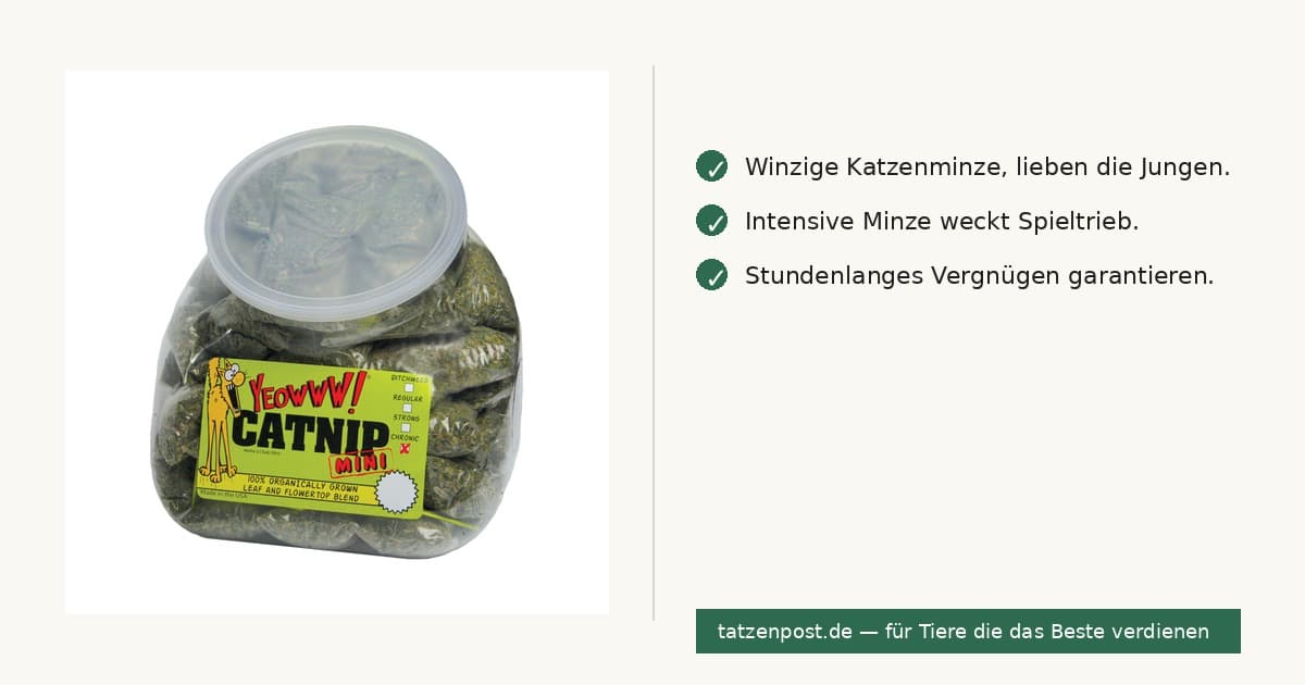 Yeowww! Minis (50 St.)  2