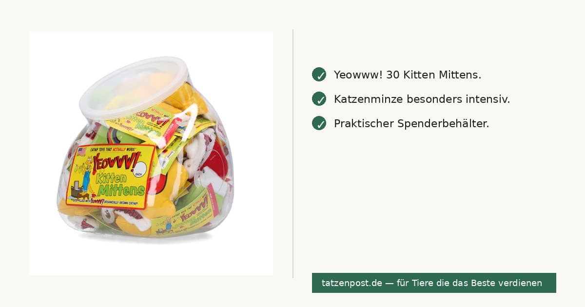 Yeowww! Jug with 30 Kitten Mittens  2