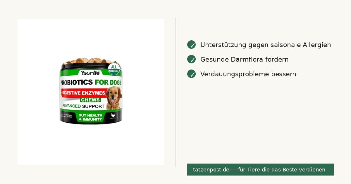 Probiotika für Hunde – bei saisonalen Allergien, Kausnacks 3