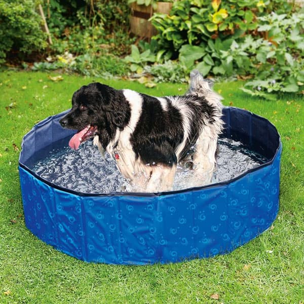 Karlie Flamingo DOGGY POOL Swimmingpool für Hunde - Blau gemustert - 160 cm 5