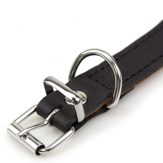 Karlie Rondo Windhund-Halsband - Schwarz - 55cm/60mm 2