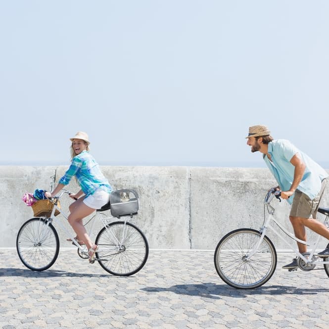 Duvoplus Fahrradtasche für Gepäckträger 5