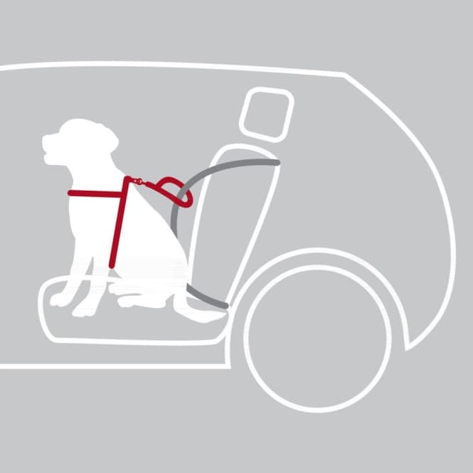 Trixie Auto-Sicherheitsgeschirr Dog Protect - M: 50-65 cm 3