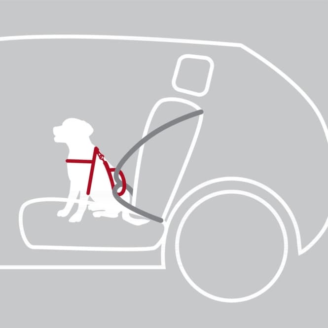 Trixie Auto-Sicherheitsgeschirr Dog Protect - L: 65-80 cm 4