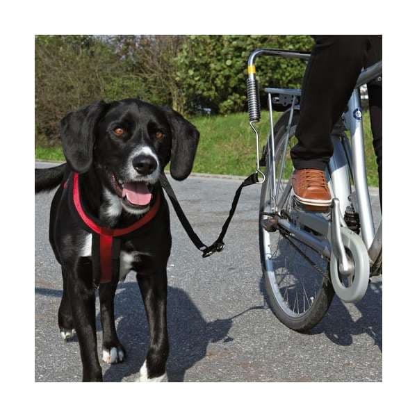 Trixie Biker-Set, Gr. S-M: Produktbild