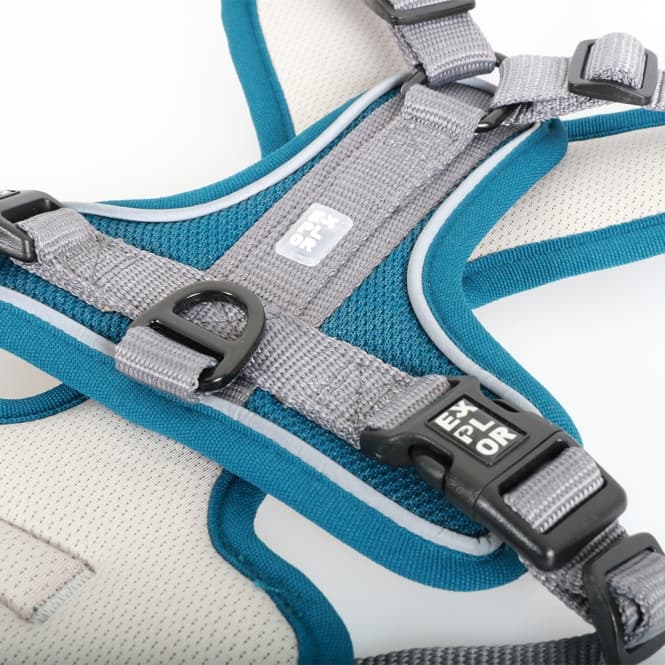 Duvoplus EXPLOR Ultimate Fit No-Pull-Geschirr - petrol blue - XL - 52-66cm - 71-104cm 3