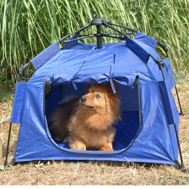 Duvoplus Hundezelt - 100 x 100 x 70cm 3