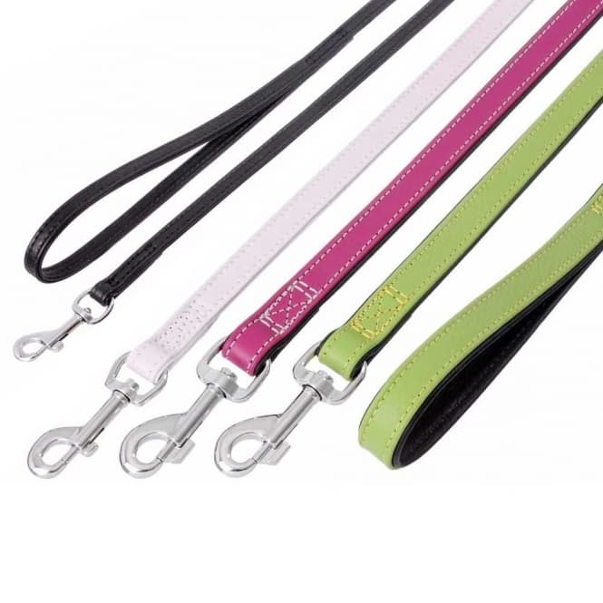 Karlie VINTAGE Leine - Kiwi / 100cm, 22mm: Produktbild