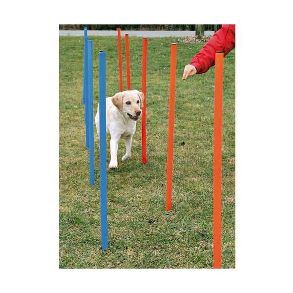 Trixie Agility Slalom 2