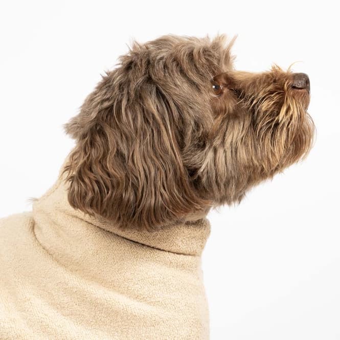 EBI Noir Japandi Hundebademantel – beige 5