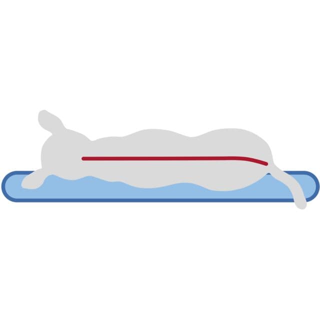 Trixie Vital Kissen Bendson - oval - 100 × 70 cm 5