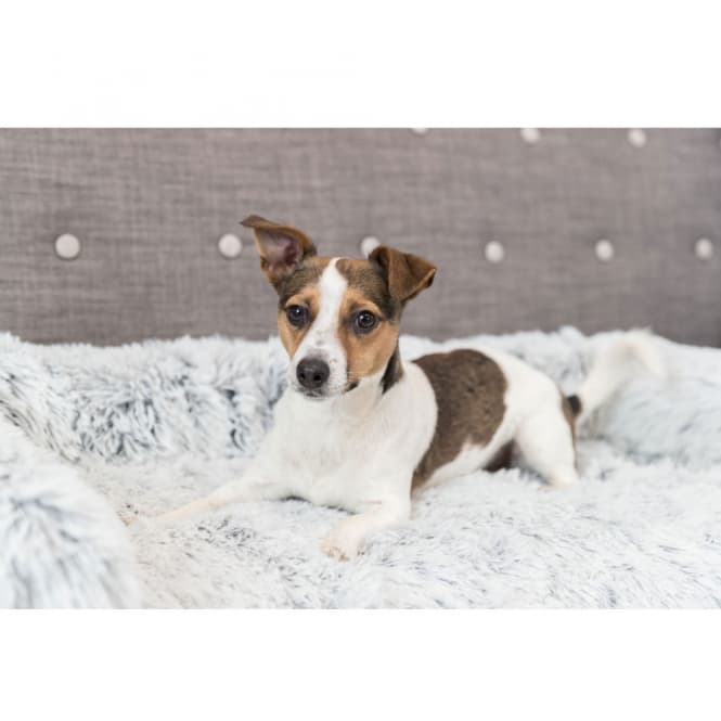 Trixie Polster-Schondecke Harvey - 70 x 90 cm 3